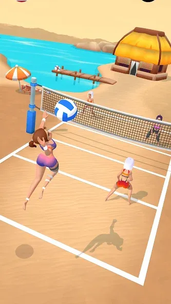 Скачать взлом Beach Volleyball Game на Андроид — Безлимитные монеты и все уровни — скриншот 1