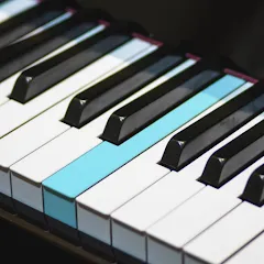 Скачать Real Piano electronic keyboard на Андроид — Реалистичное пианино без ограничений