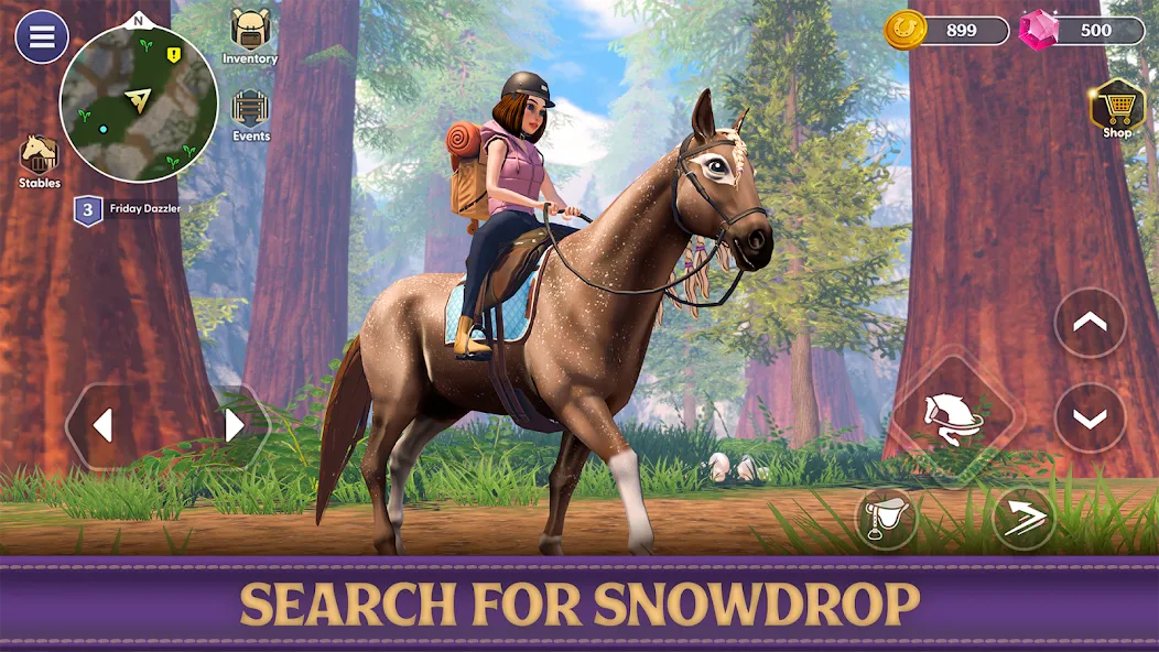 Скачать Star Equestrian - Horse Ranch — Последняя версия (Безлимитные монеты и ресурсов) — скриншот 3