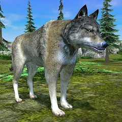 Скачать взлом Wolf Simulator - Animal Games на Андроид — Безлимитные деньги и здоровье