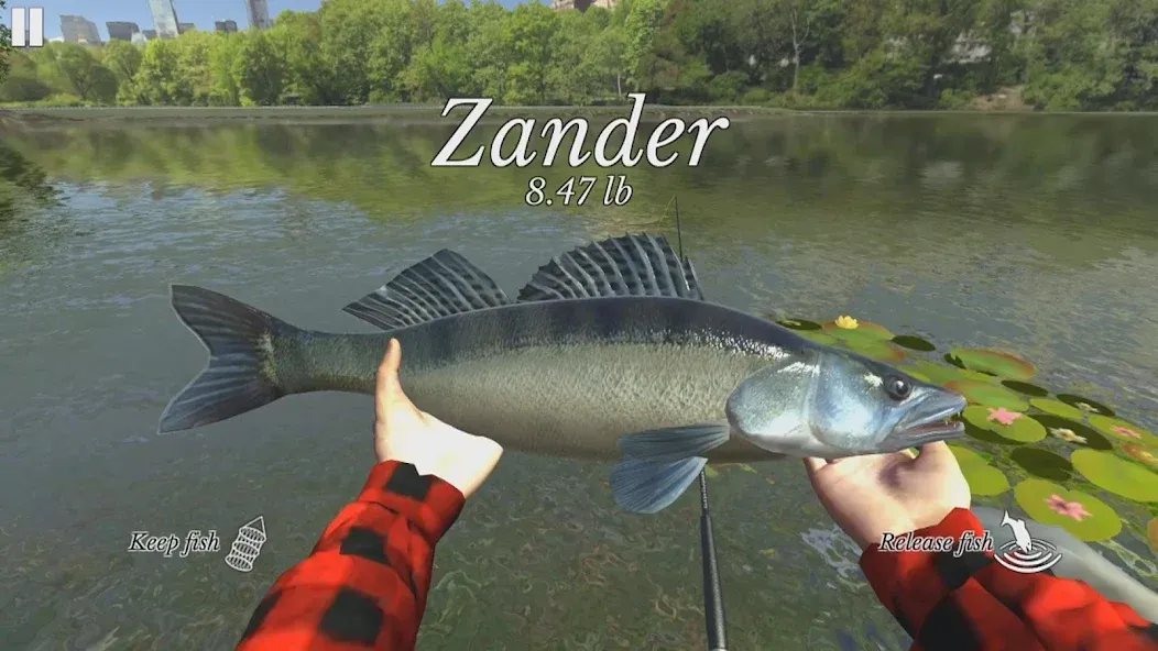 Скачать Ultimate Fishing Simulator MOD APK — Много денег и разблокированы снасти — скриншот 2