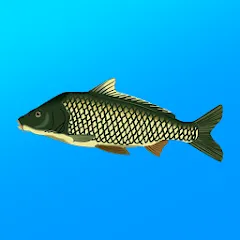 True Fishing. Simulator MOD APK на Android — Безлимитные деньги и ресурсов