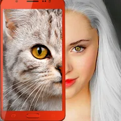 Kitten: what cat are you? joke MOD APK — Результаты теста без ограничений