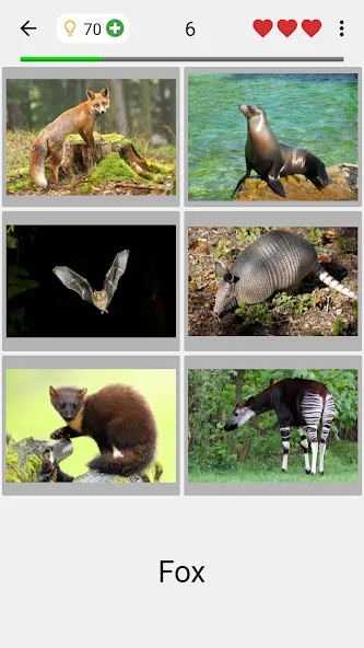 Скачать взлом Animals Quiz Learn All Mammals на Андроид — Все млекопитающие разблокированы — скриншот 2