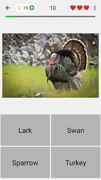Скачать взлом Animals Quiz Learn All Mammals на Андроид — Все млекопитающие разблокированы — скриншот 4