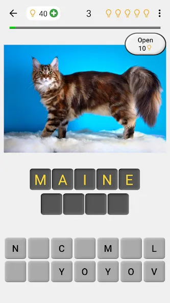 Скачать Cats Quiz Guess Popular Breeds (Мод: Открыты все породы и подсказки) на Андроид — скриншот 1