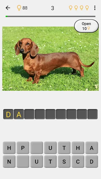 Dogs Quiz - Guess All Breeds! — Мод: Все породы собак разблокированы — скриншот 2