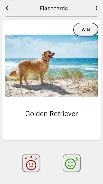 Dogs Quiz - Guess All Breeds! — Мод: Все породы собак разблокированы — скриншот 5
