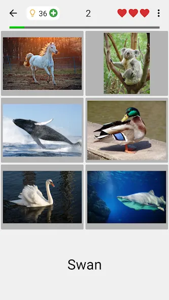 Взлом Guess Pictures and Words Quiz — Открыты все уровни и подсказки — скриншот 2