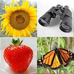 Взлом Guess Pictures and Words Quiz — Открыты все уровни и подсказки