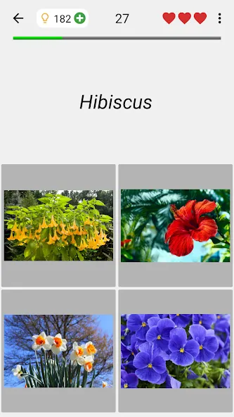Flowers Quiz - Identify Plants MOD APK — Все растения разблокированы — скриншот 4