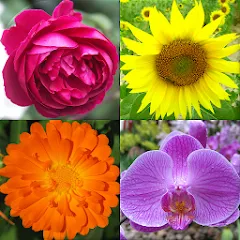 Flowers Quiz - Identify Plants MOD APK — Все растения разблокированы