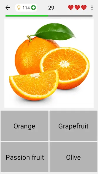 Fruit and Vegetables - Quiz Mod APK Открыты все уровни и подсказки — Скачать на Андроид — скриншот 4