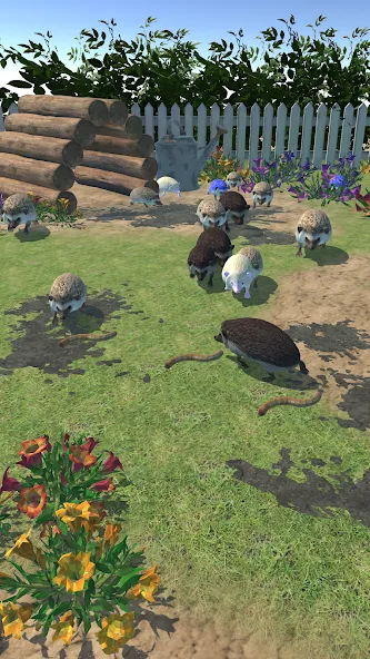Скачать Hedgehog Friends на Android — Много монет и открыты все уровни — скриншот 2