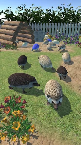 Скачать Hedgehog Friends на Android — Много монет и открыты все уровни — скриншот 3