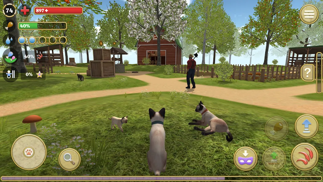 Взломанная Cat Simulator : Kitties Family на Андроид — Много котят и безлимитные монеты — скриншот 1