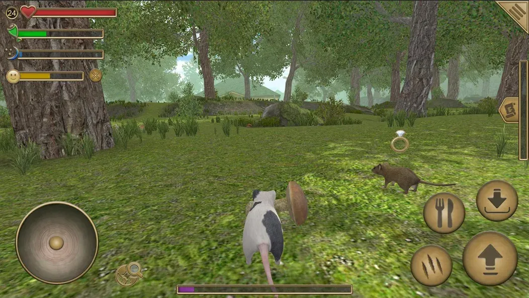 Скачать Mouse Simulator : Forest Home — Последняя версия (Без рекламы и много ресурсов) — скриншот 1