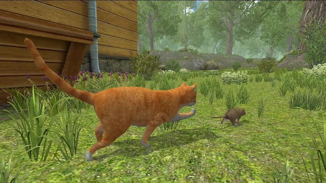 Скачать Mouse Simulator : Forest Home — Последняя версия (Без рекламы и много ресурсов) — скриншот 3