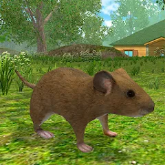 Скачать Mouse Simulator : Forest Home — Последняя версия (Без рекламы и много ресурсов)