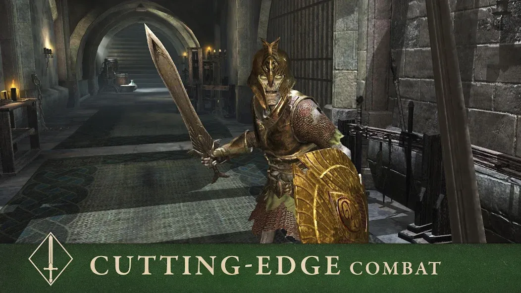 The Elder Scrolls: Blades (Мод Безлимитные деньги и ресурсы) — скриншот 5