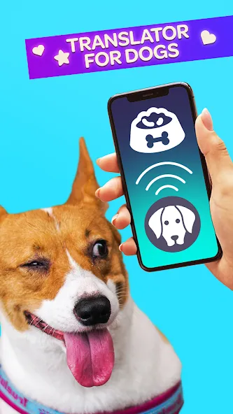 Скачать Dog Translator Pet Speak Talk на Android — Разговор с питомцем без ограничений — скриншот 1 Скачать Dog Translator Pet Speak Talk на Android — Разговор с питомцем без ограничений — скриншот 1