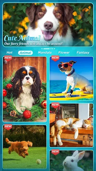 Jigsaw Puzzles MOD APK — Без рекламы и все пазлы открыты — скриншот 5