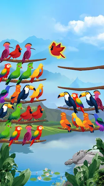 Скачать Bird Sort - Color Puzzle — Модификация Без рекламы и все уровни открыты — скриншот 1 Скачать Bird Sort - Color Puzzle — Модификация Без рекламы и все уровни открыты — скриншот 1