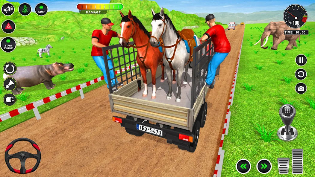Скачать Animal Transport Truck Game 3D (Мод: Безлимитные деньги и все животные открыты) на Андроид — скриншот 4