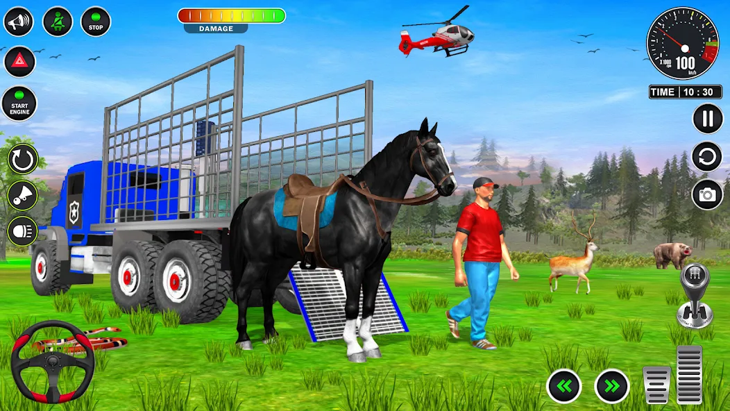 Скачать Animal Transport Truck Game 3D (Мод: Безлимитные деньги и все животные открыты) на Андроид — скриншот 5