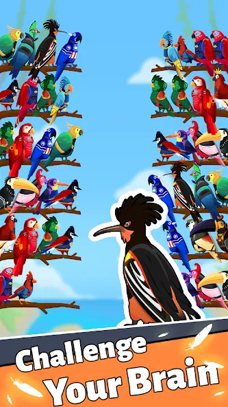 Bird Puzzle - Color Game MOD — Без рекламы и все уровни открыты на Андроид — скриншот 2
