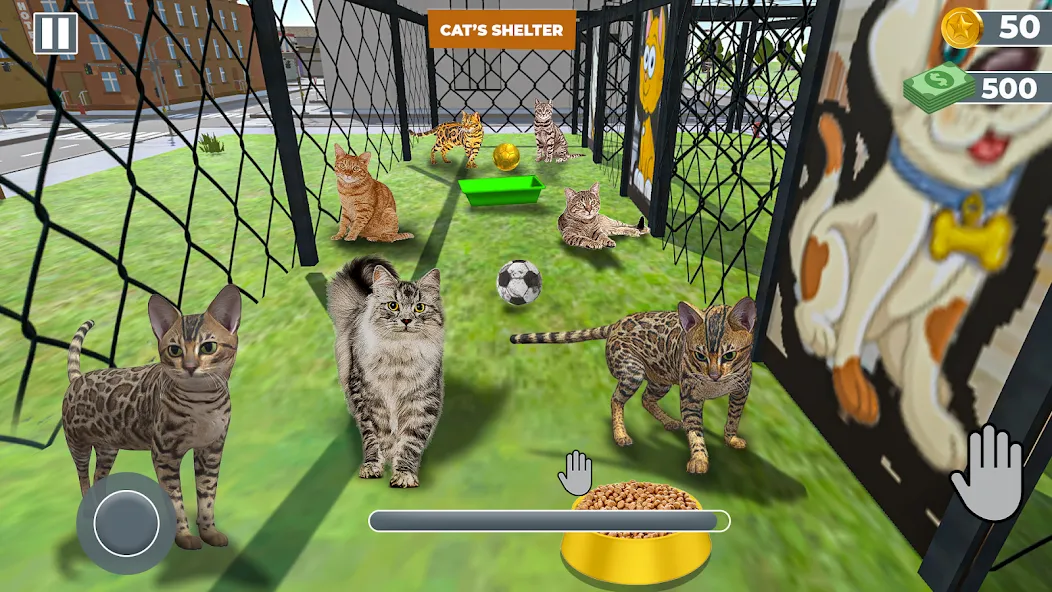 Скачать Animal Shelter: Pet Rescue 3D — Модификация Безлимитные деньги и питомцы открыты — скриншот 2 Скачать Animal Shelter: Pet Rescue 3D — Модификация Безлимитные деньги и питомцы открыты — скриншот 2