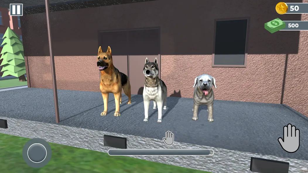 Скачать Animal Shelter: Pet Rescue 3D — Модификация Безлимитные деньги и питомцы открыты — скриншот 3 Скачать Animal Shelter: Pet Rescue 3D — Модификация Безлимитные деньги и питомцы открыты — скриншот 3