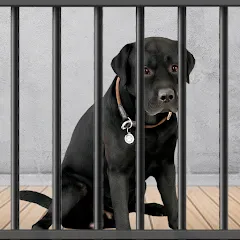 Скачать Animal Shelter: Pet Rescue 3D — Модификация Безлимитные деньги и питомцы открыты