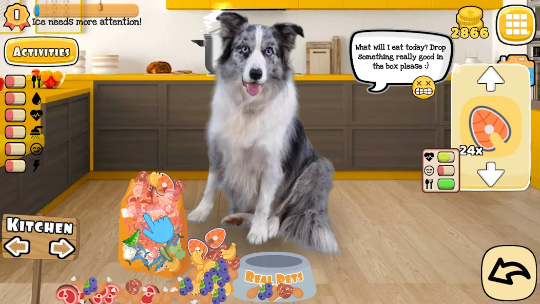 Adopt a pet : Corgi Games (Мод Безлимитные монеты и питомцы) — скриншот 1 Adopt a pet : Corgi Games (Мод Безлимитные монеты и питомцы) — скриншот 1