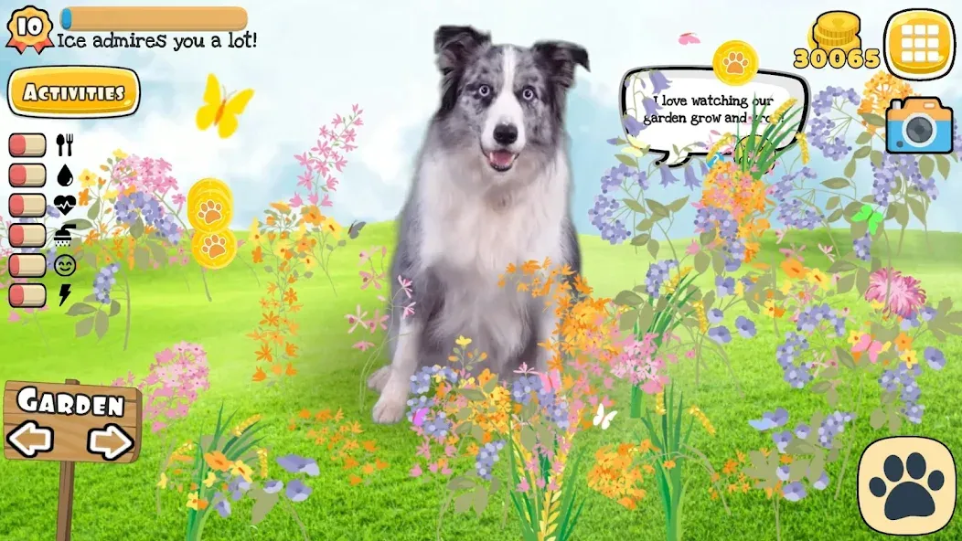 Adopt a pet : Corgi Games (Мод Безлимитные монеты и питомцы) — скриншот 4 Adopt a pet : Corgi Games (Мод Безлимитные монеты и питомцы) — скриншот 4