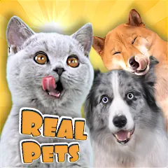 Adopt a pet : Corgi Games (Мод Безлимитные монеты и питомцы)