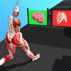 Скачать Human Run на Андроид — Безлимитные деньги и ускоренный бег