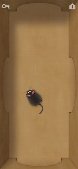 Скачать взлом CAT ALONE 2 - Cat Toy на Андроид — Новые игрушки и режимы игры — скриншот 5 Скачать взлом CAT ALONE 2 - Cat Toy на Андроид — Новые игрушки и режимы игры — скриншот 5