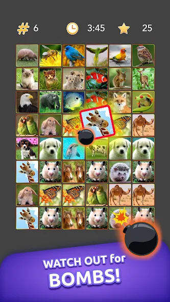 Onnect - Pair Matching Puzzle — Подсказки доступны без ограничений — скриншот 5