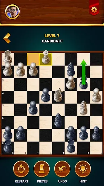 Chess - Offline Board Game — Без рекламы и подсказки доступны — скриншот 5 Chess - Offline Board Game — Без рекламы и подсказки доступны — скриншот 5