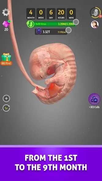 Idle 9 Months MOD — Безлимитные деньги и ускоренная беременность на Андроид — скриншот 3