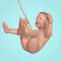 Idle 9 Months MOD — Безлимитные деньги и ускоренная беременность на Андроид