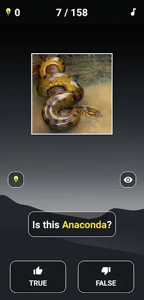 Скачать взлом Animal Quiz: Guess the Animal на Андроид — Все животные разблокированы и подсказки бесконечны — скриншот 3