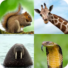 Скачать взлом Animal Quiz: Guess the Animal на Андроид — Все животные разблокированы и подсказки бесконечны