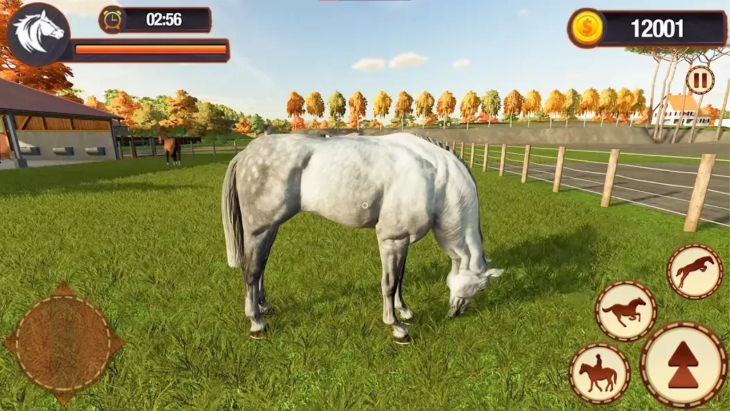 Скачать My Horse Herd Care Simulator — Бесконечные монеты и всё открыто — скриншот 5