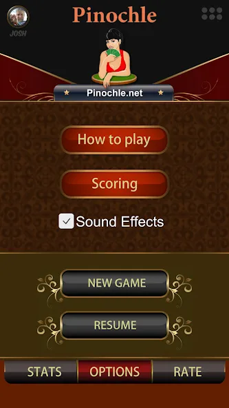 Скачать взлом Pinochle.Net на Андроид — Разблокированы все функции и карты — скриншот 2