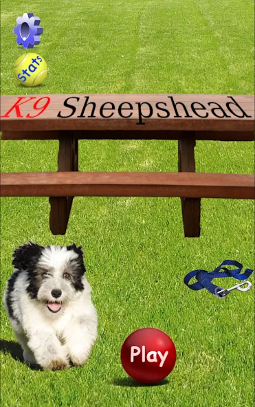 Скачать взломанную K9 Sheepshead (Schafkopf] — Разблокированы все функции и уровни — скриншот 1