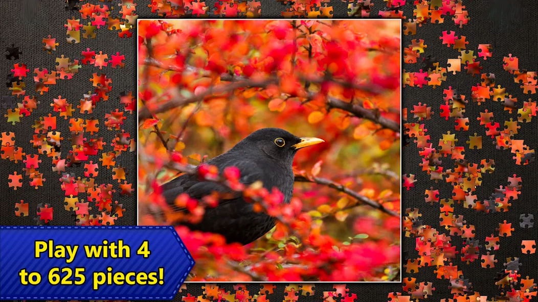 Jigsaw Puzzles Epic MOD APK — Безлимитные подсказки и монеты — скриншот 5 Jigsaw Puzzles Epic MOD APK — Безлимитные подсказки и монеты — скриншот 5
