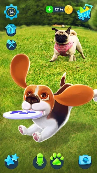 Взлом Tamadog - Puppy Pet Dog Games — Безлимитные монеты и все питомцы — скриншот 3