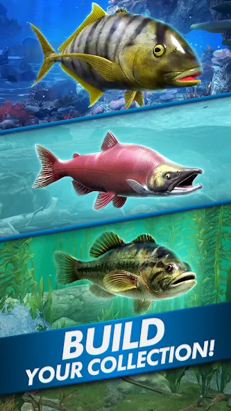 Ultimate Fishing! Fish Game — Безлимитные деньги и приманки — скриншот 5 Ultimate Fishing! Fish Game — Безлимитные деньги и приманки — скриншот 5